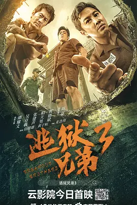 精品视频一区二区观看