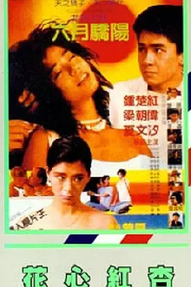 小蓝在线