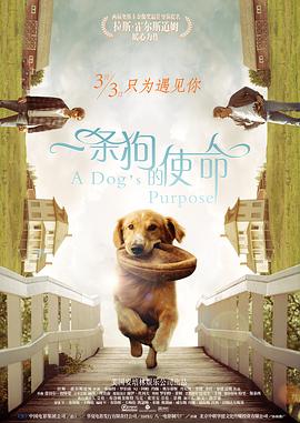 久草网首页