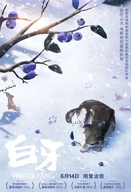国内不卡1区2区